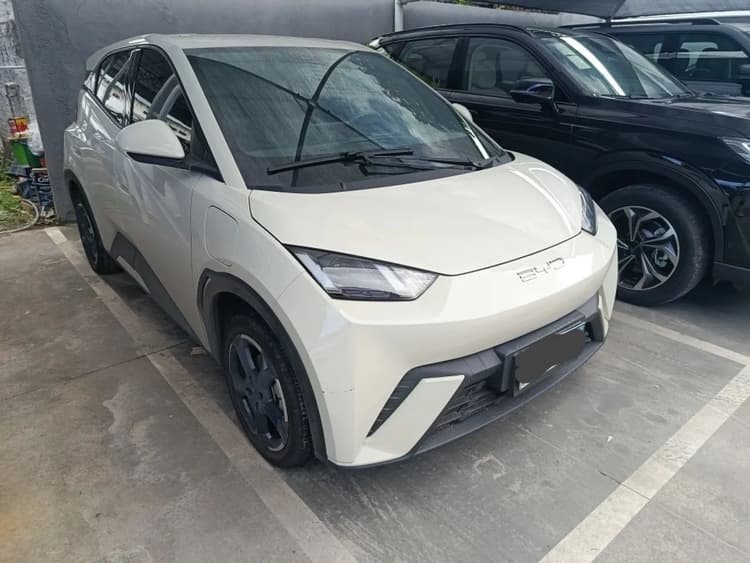 BYD Dolphin Mini (Elétrico) 2025