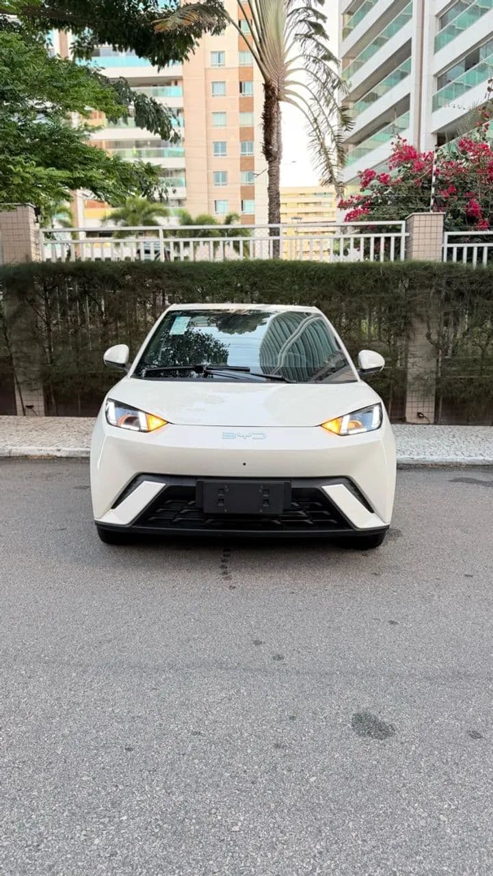 BYD Dolphin Mini (Elétrico) 2027