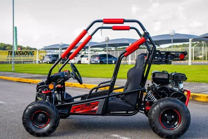 Shineray Kart 200