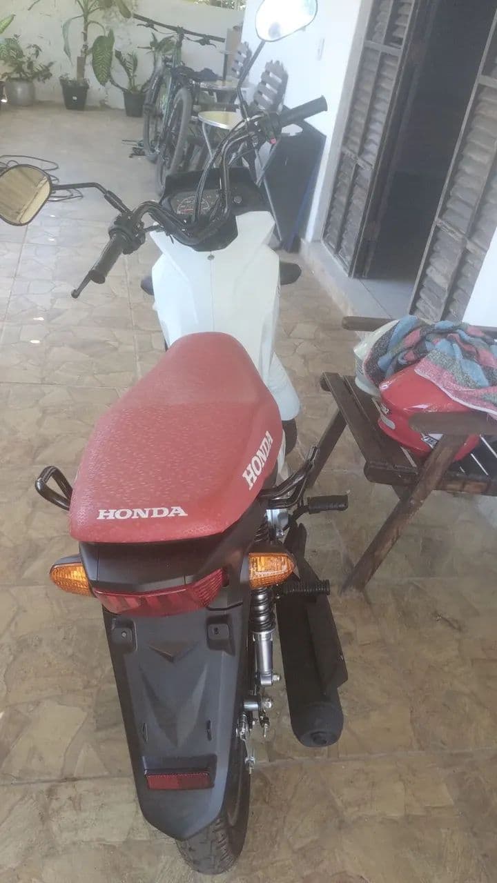 Pop última versão 