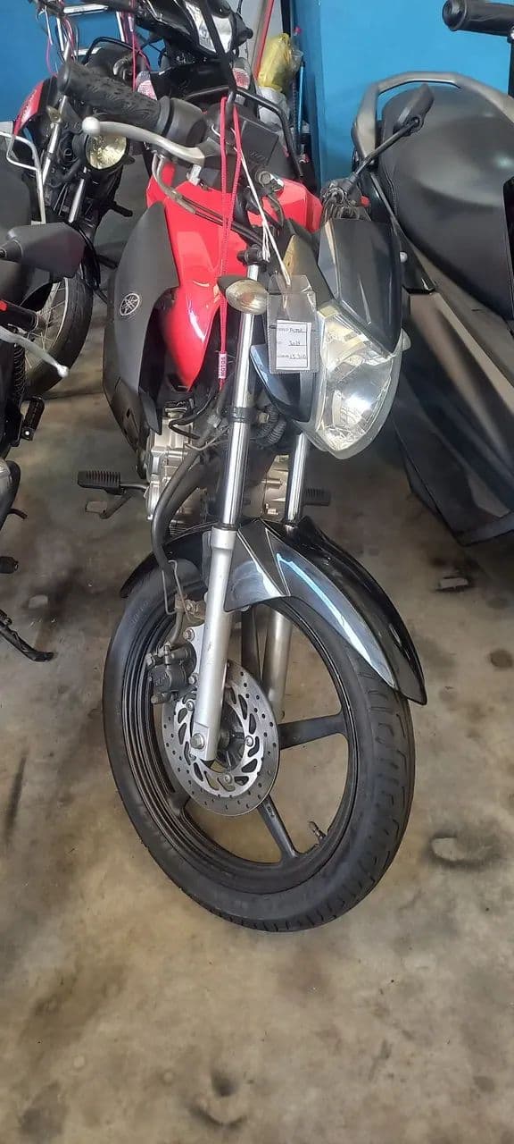 Yamaha factor 2019