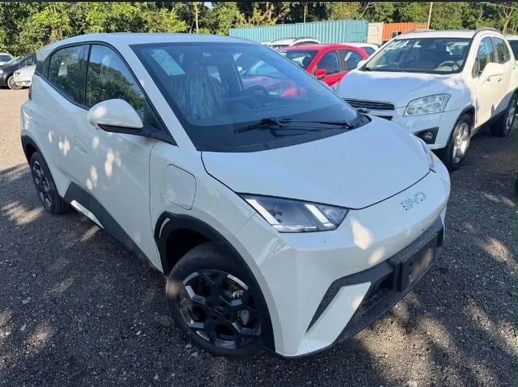 BYD Dolphin Mini (Elétrico) 2027