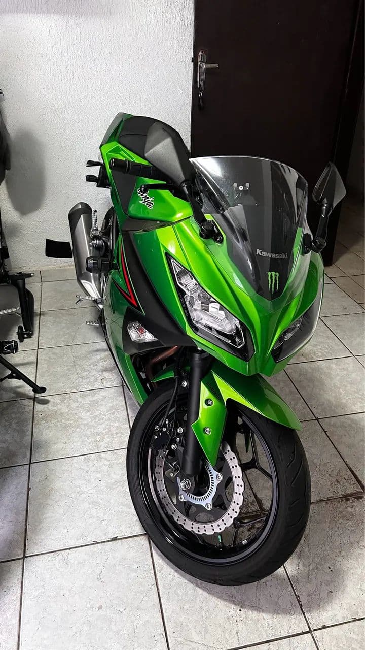 Ninja 300 Abs
