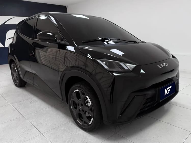 BYD Dolphin Mini GL 2026