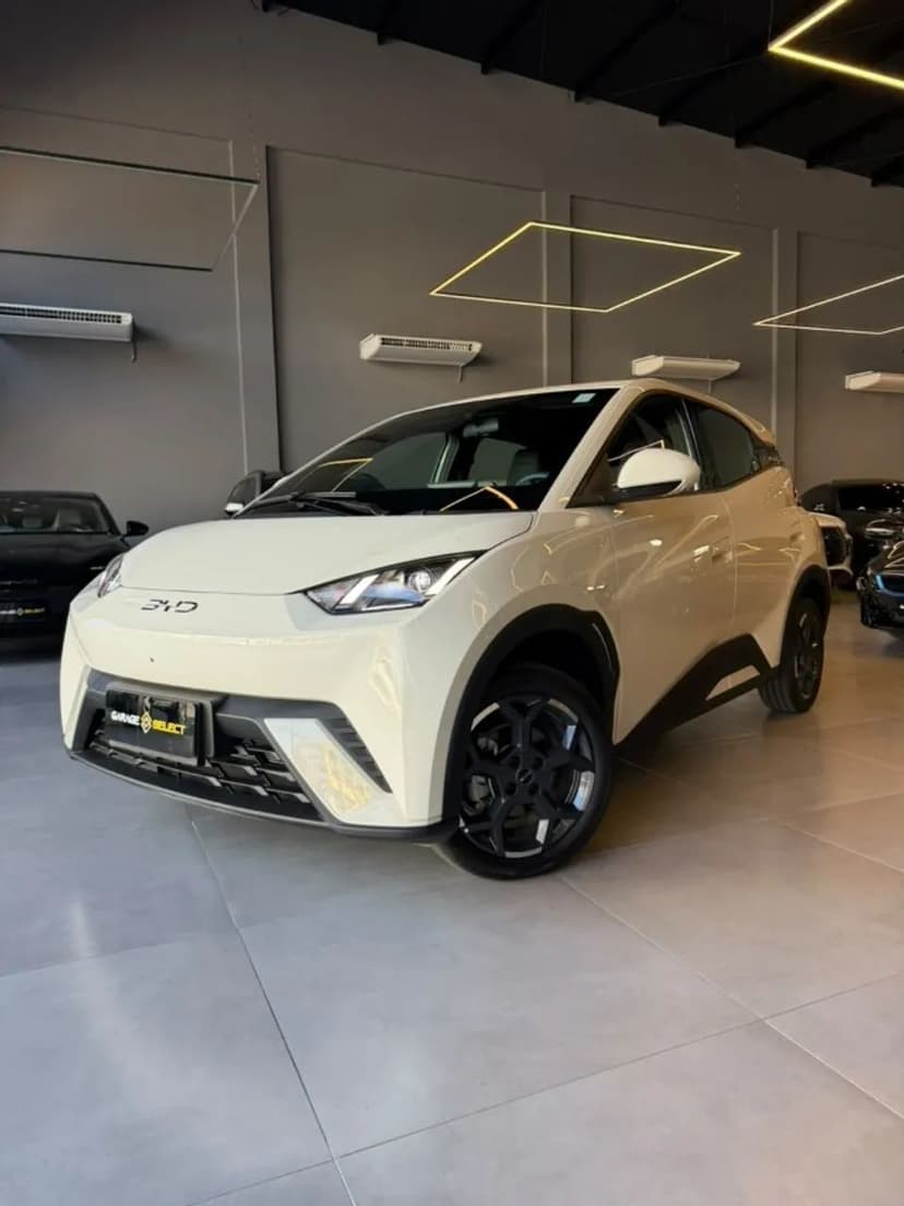 BYD Dolphin Mini (Elétrico) 2026