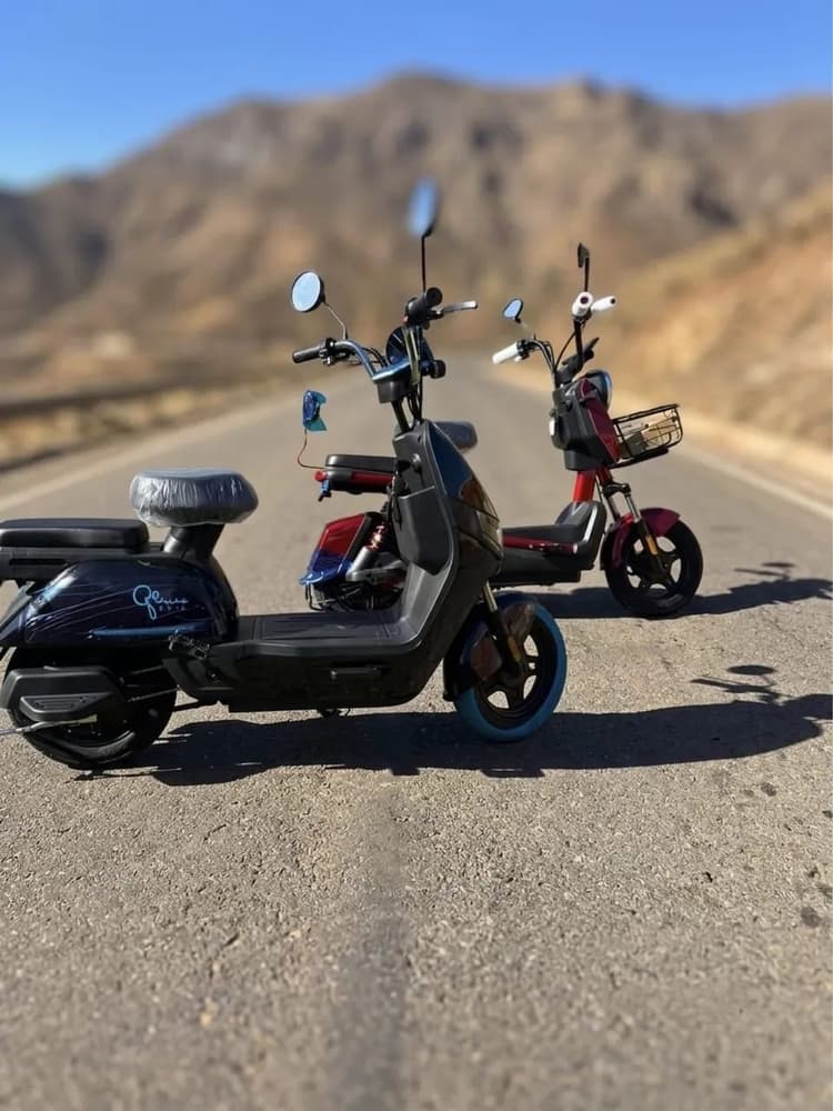 Moto elétrica 1000 watts