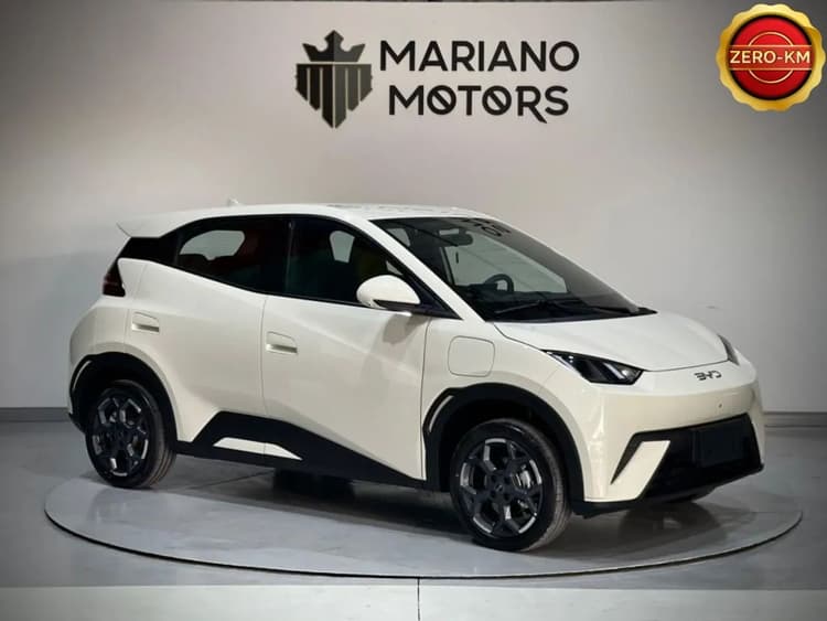 BYD Dolphin Mini (Elétrico) 2027