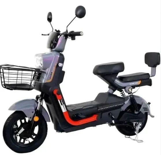 Moto Elétrica Ritz Pro 800