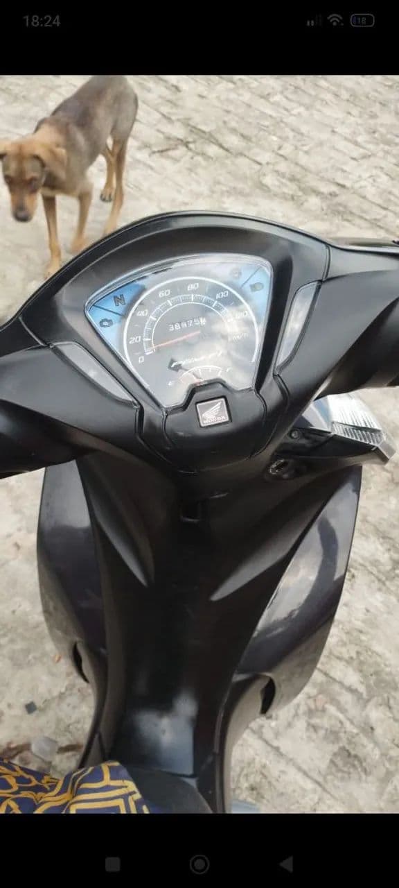 Moto de procedência 