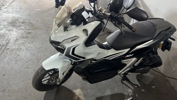 ADV 2021 novinha 
