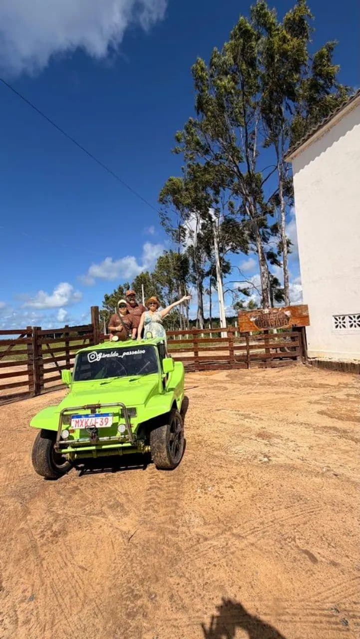 Buggy Buggy 1.6 2-lug. 1995
