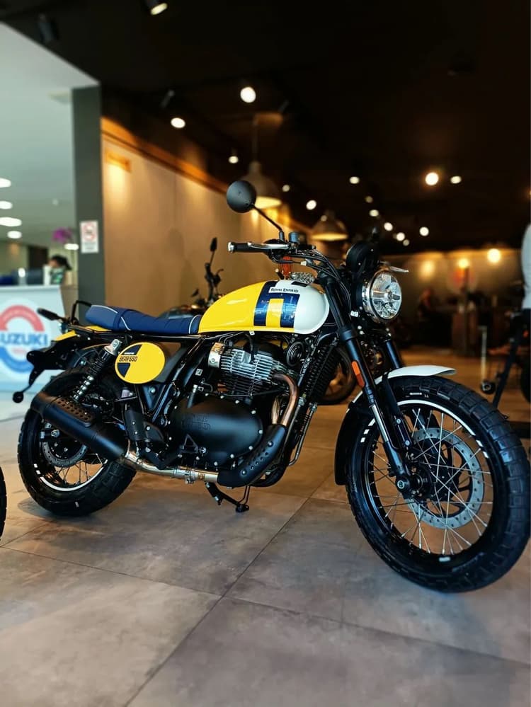 Bear 650 - Danielle 