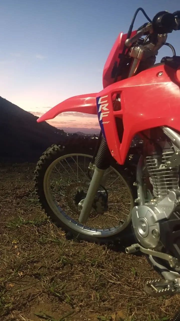 Crf300
