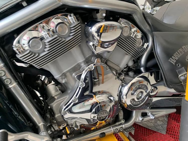 Harley V-Rod 
