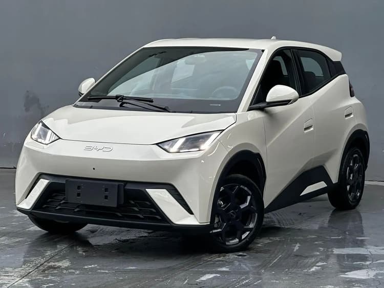 BYD Dolphin Mini (Elétrico) 2027