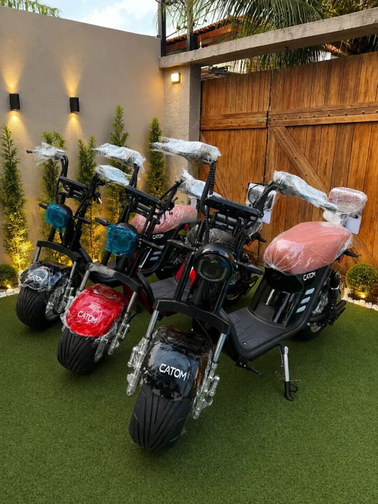 Moto eletrica