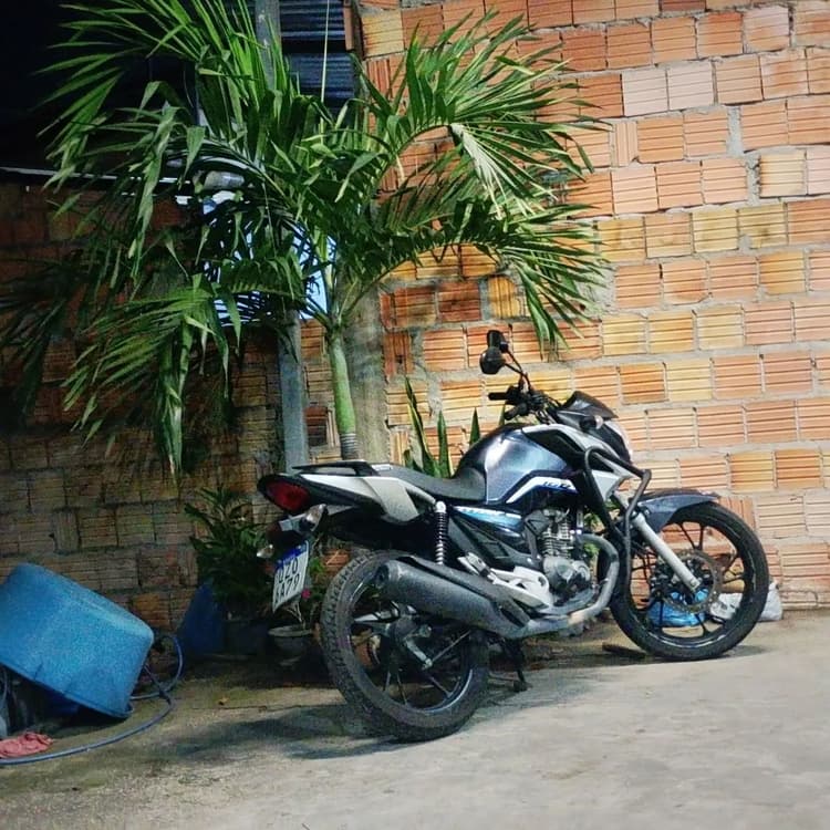Vendo 