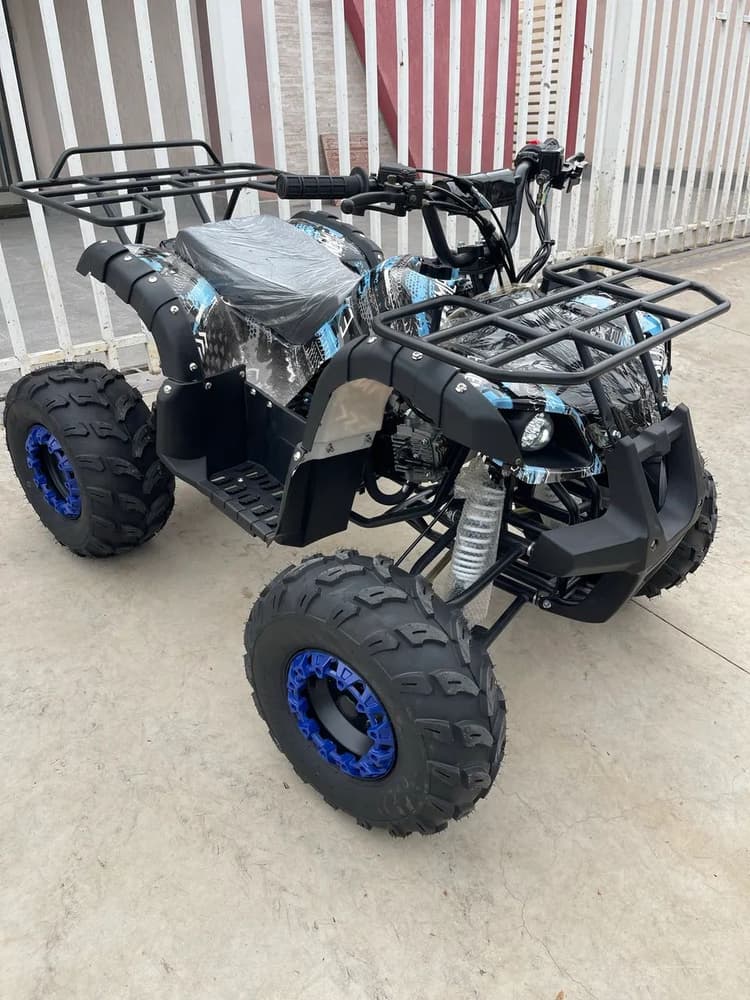 Quadriciclo Automático Novo 0km