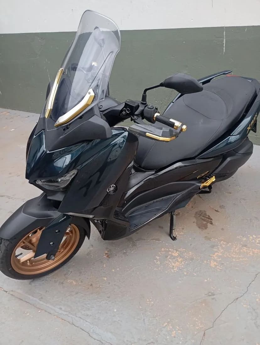 Xmax 250 revisada