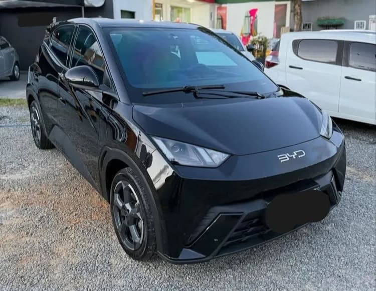 BYD Dolphin Mini (Elétrico) 2025
