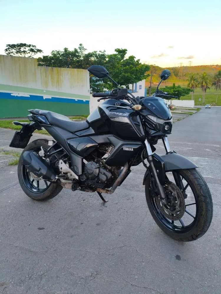 Fz15 2023