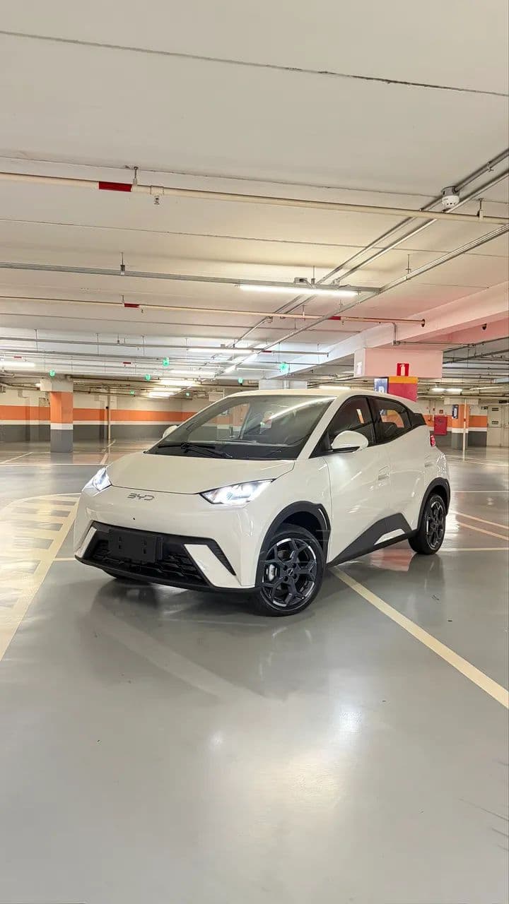 BYD Dolphin Mini (Elétrico) 2027