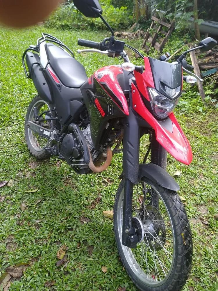 Moto Lander 2024