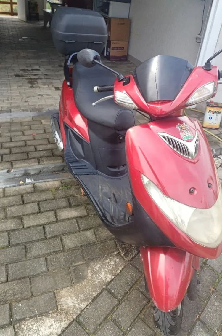 Burgman 2006 