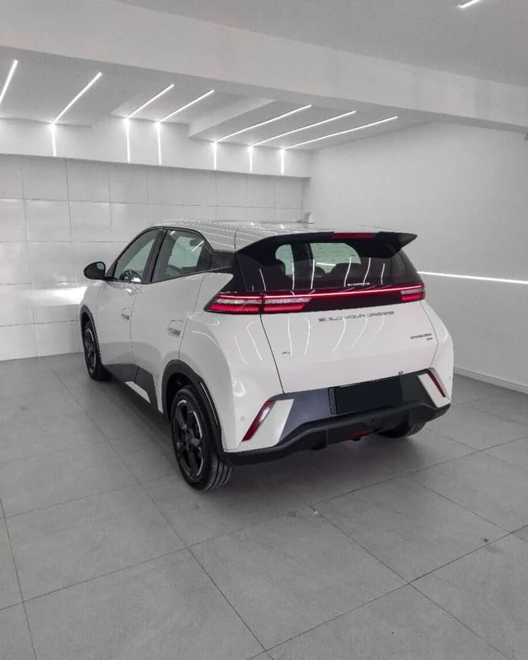 BYD Dolphin Mini (Elétrico) 2025
