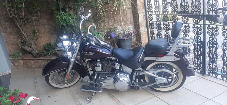 Harley Davidson Softail Deluxe