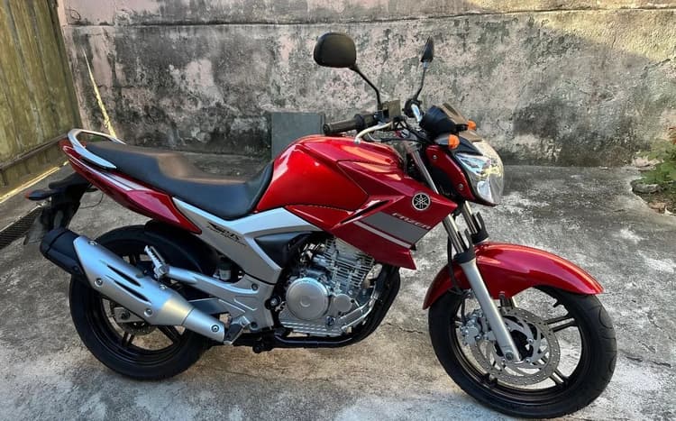 Vendo fazer 2012