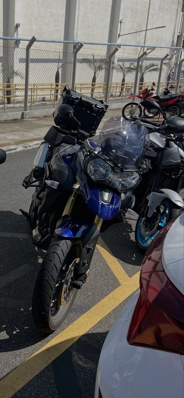 Tiger 800 2014