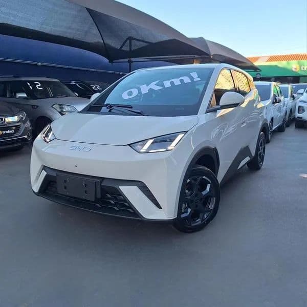 BYD Dolphin Mini (Elétrico) 2027