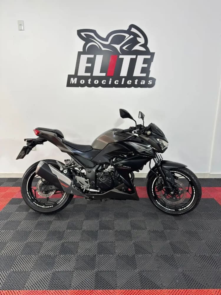 Kawasaki Z300 Cinza 2016