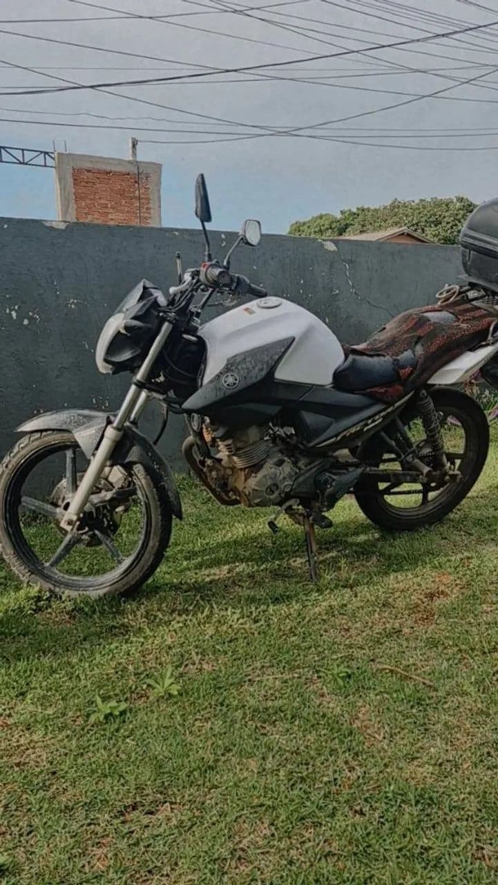Factor 150 2020 