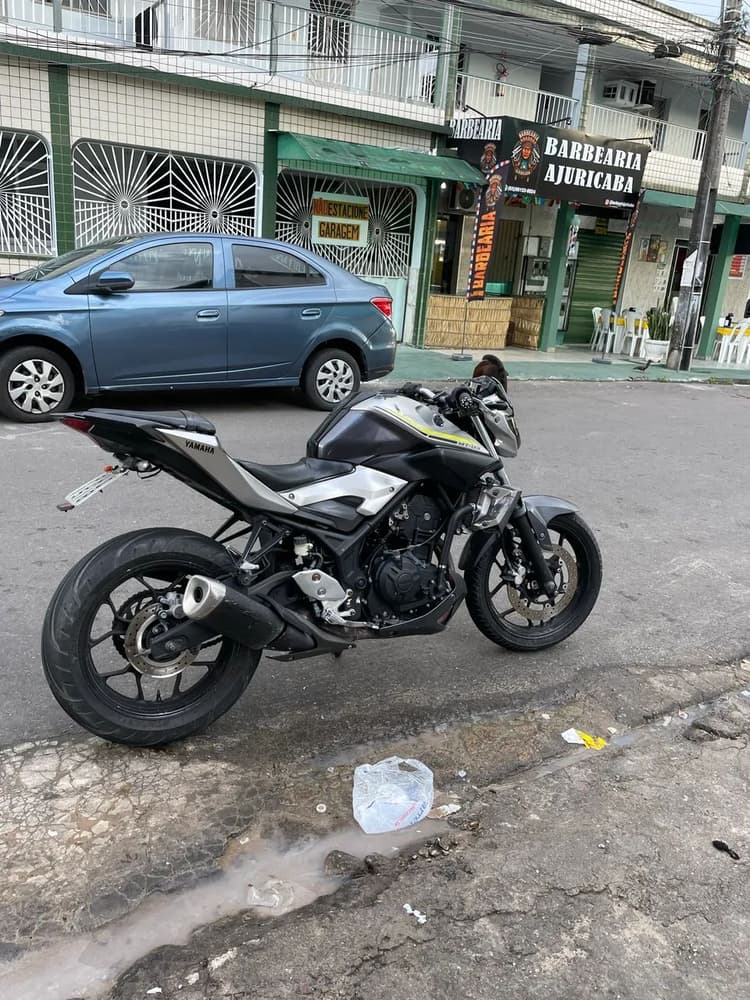 MT 03 2017