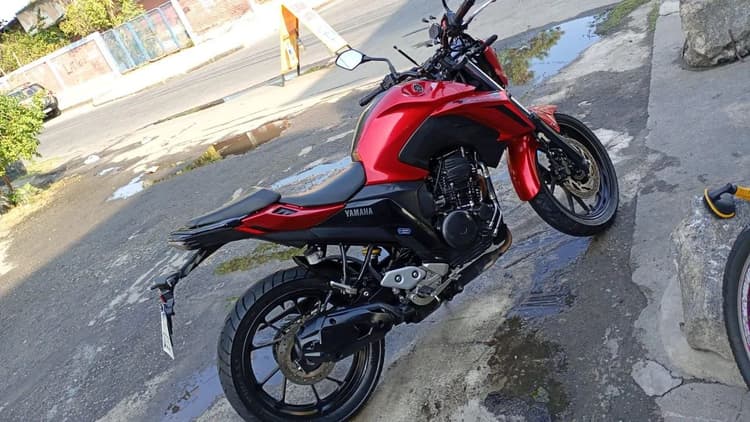 Fz 250 