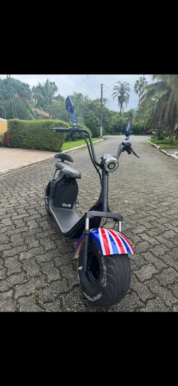Scooter Goo 2000 W 