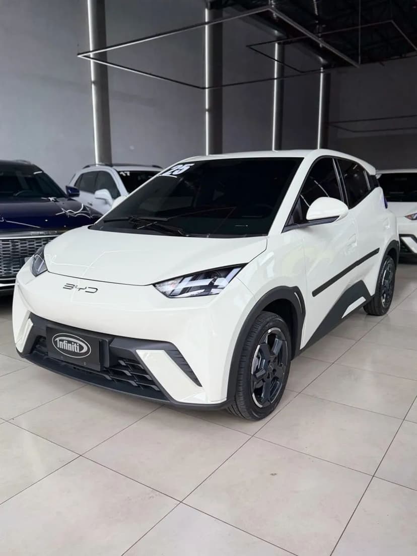 BYD Dolphin Mini (Elétrico) 2025