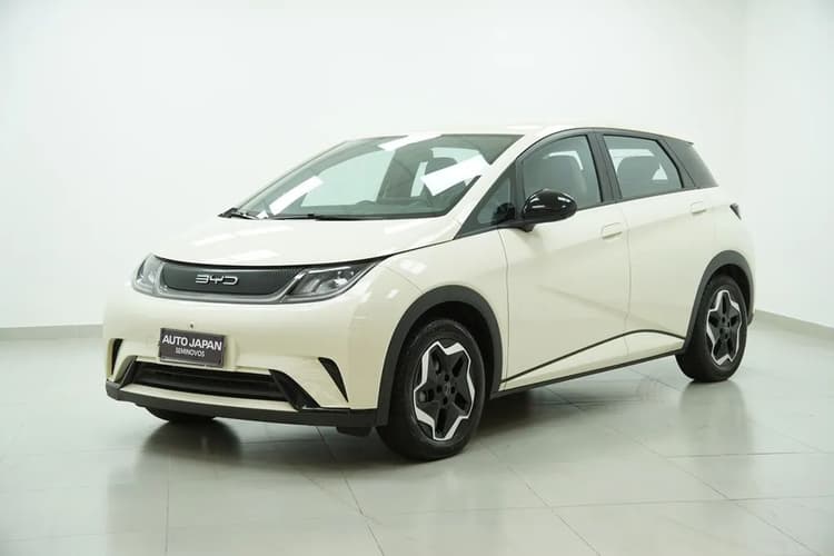 BYD Dolphin EV (Elétrico) 2024