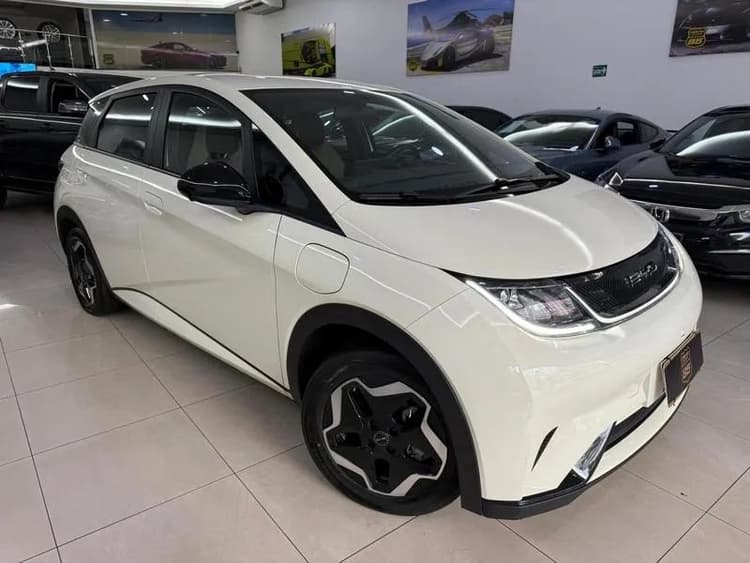 BYD Dolphin GS (Elétrico) 2024