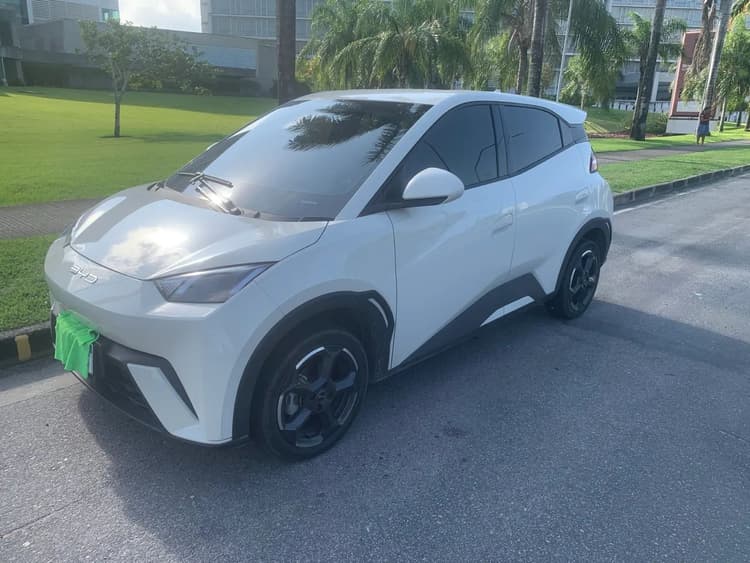 BYD Dolphin Mini (Elétrico) 2024