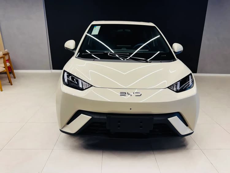 BYD Dolphin Mini (Elétrico) 2027