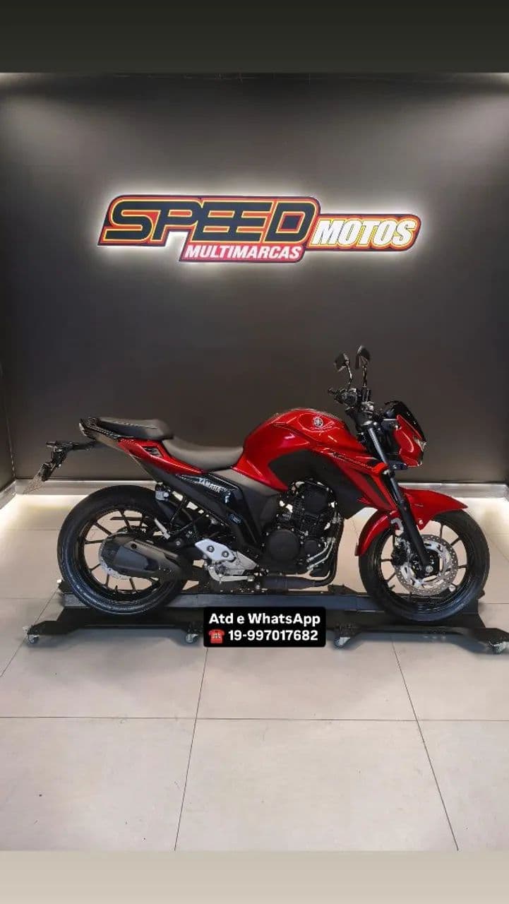 FZ 250 Connected abs