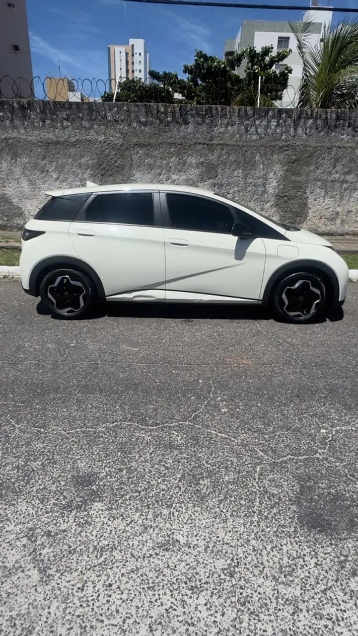 BYD Dolphin EV (Elétrico) 2024
