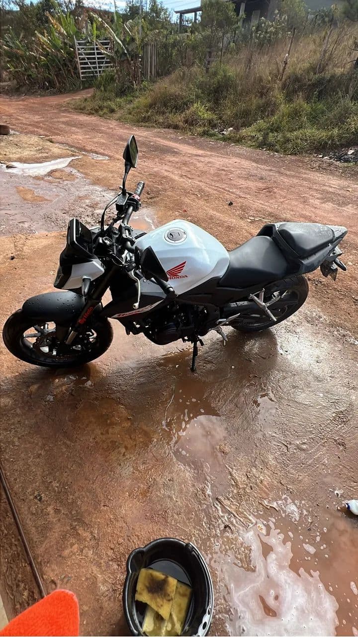 Hornet 500