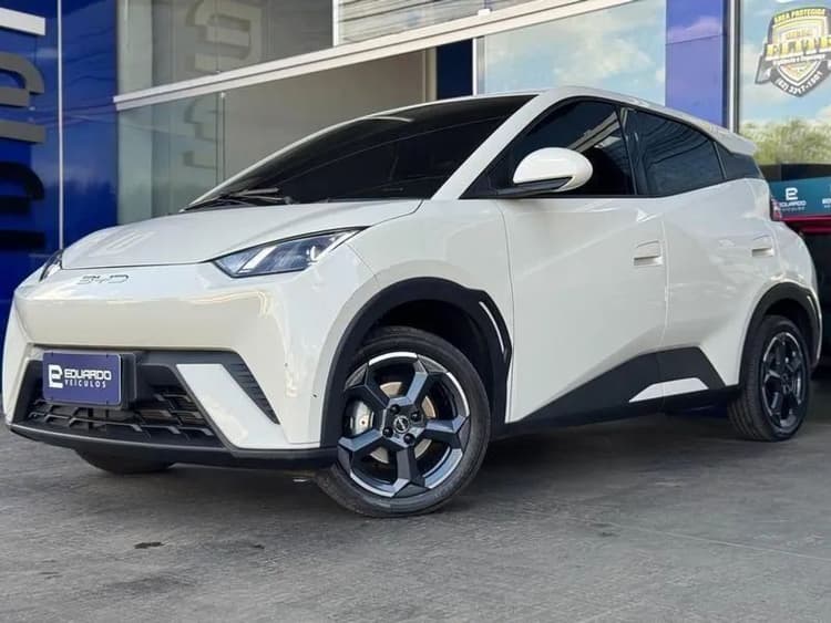 BYD Dolphin Mini (Elétrico) 2027