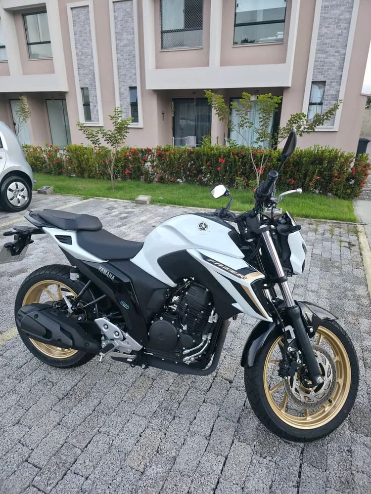  fz250 2025 zero. 