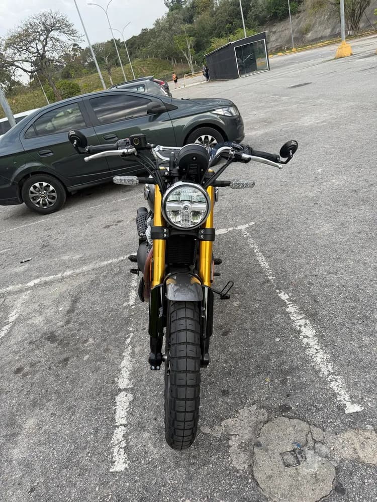 Bear 650 Golden Shadow 