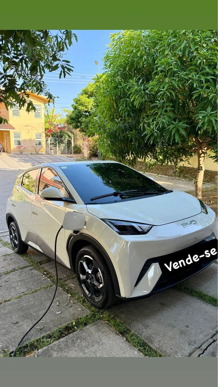 BYD Dolphin Mini (Elétrico) 2025